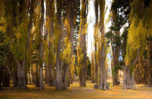 Estancia Cristina Cabin | Estancia Cristina Lodge - El Calafate