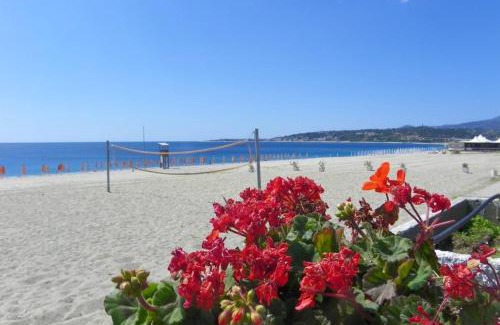 Montepaone Lido Hotel | Estella Club