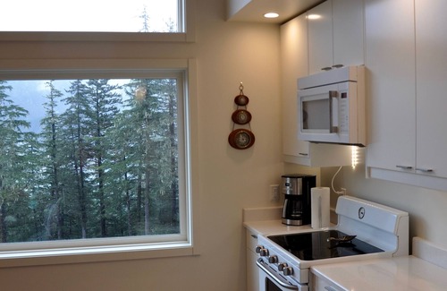 West Juneau House | Exceptional view, style and comfort-The Salty Suite
