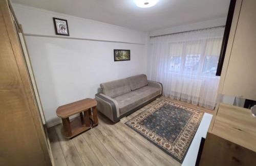 Falticeni Apartment | Fabian home central