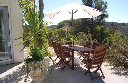 Alcobaca Villa | Family Villa with Pool and barbecue