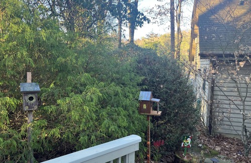 Sapphire House | FANTASTIC HOUSE with lots of amenities and Excellent reviews