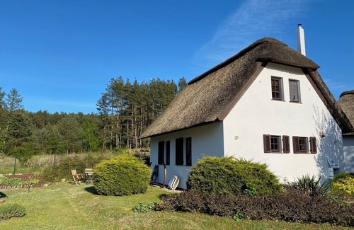 Wiselka House | Fantastic thatched house on the edge of the forest