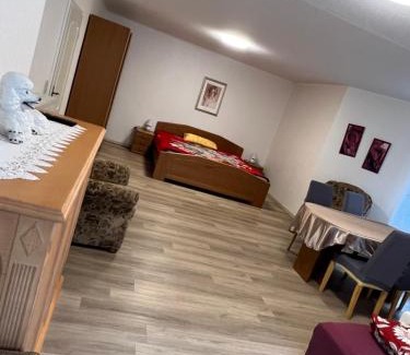Kastellaun Apartment | Ferienapartment Lidia