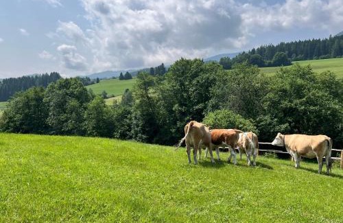 Mariahof Apartment | Ferienhäuschen in Mariahof