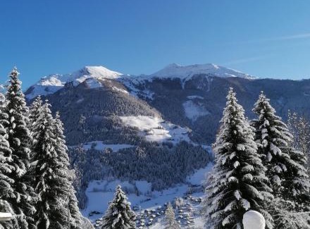 Grosskirchheim House | Ferienhütte Sternenblick