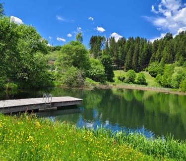 Neumarkt in Steiermark Apartment | Ferienwohnung Familie Pichler