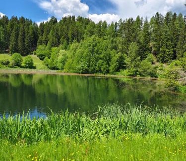 Neumarkt in Steiermark Apartment | Ferienwohnung Familie Pichler