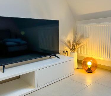 Hallstadt Apartment | Ferienwohnung AS 5 One & Two Bamberg - modern in ruhiger Lager mit Balkon