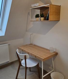Hallstadt Apartment | Ferienwohnung AS 5 One & Two Bamberg - modern in ruhiger Lager mit Balkon