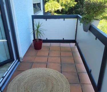 Zell am Harmersbach Apartment | Ferienwohnung Tannenblick