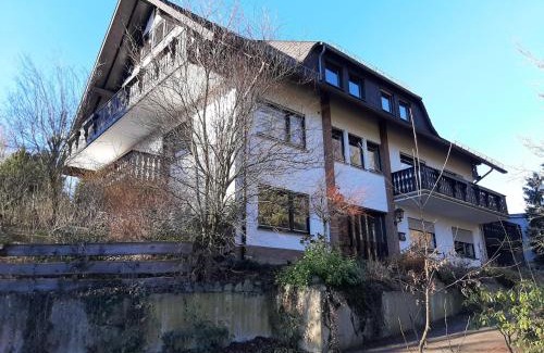 Hallenberg Apartment | Ferienwohnung Waldblick