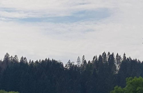 Wildemann Apartment | Ferienwohnungen Waldblick, Wohnung 1
