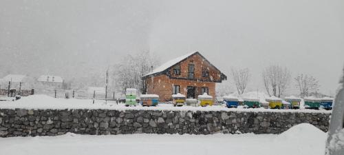 Shale House | Ferma e bleteve Stomici