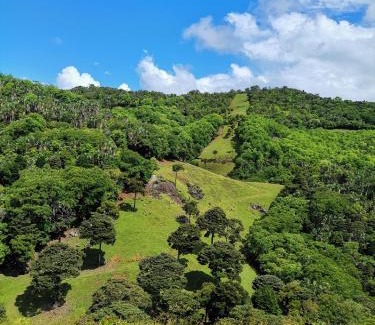 Anse Jonchee Cabin | Ferney Nature Lodge