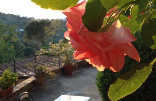 Fiesole Bed & Breakfast | Fiesole in Giardino B&B