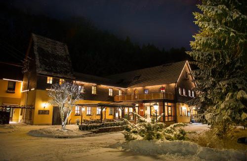 Saalfelder Hoehe Hotel | Flair-Waldhotel Mellestollen