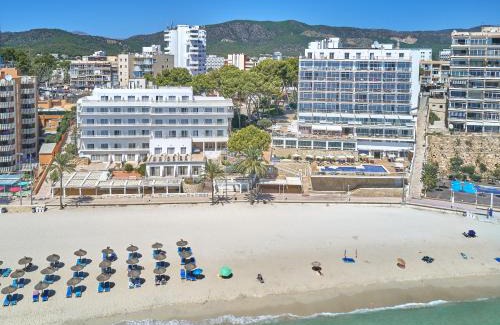 Torrenova Hotel | Flamboyan Caribe Hotel & Spa