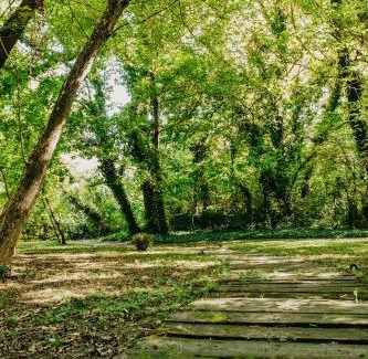 Palic House | Forest House