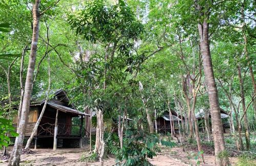 Nuea Khlong House | Foresta Cottage of Koh Pu no6196