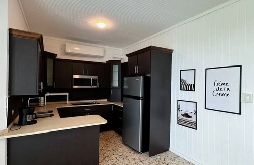 Cerro Gordo Apartment | Fully equipped apartment with AC, WiFi in unique location in Vega Alta Beach.