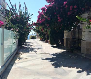 Potamos tis Germasogeias Apartment | Galatex Beach Apartment