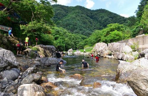 Gapyeong House | Gapyeong Yongchu Valley Travel Pension