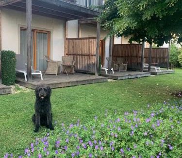 Sankt Ruprecht an der Raab Hotel | Garten-Hotel Ochensberger