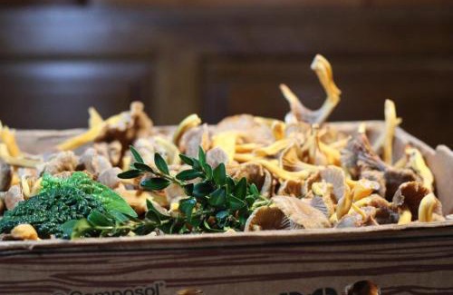Schindelsee Hotel | Gasthaus Hofmann