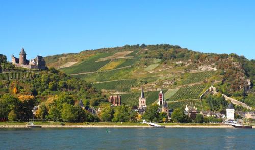 Oberwesel House | Gasthaus Weingut Stahl