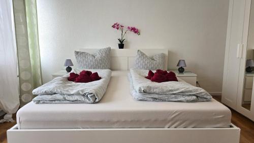 Offenburg Apartment | Gemütliche Ferienwohnung mit großer Dachterasse