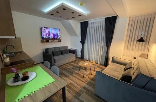 Central Serbia Apartment | Gencian resort