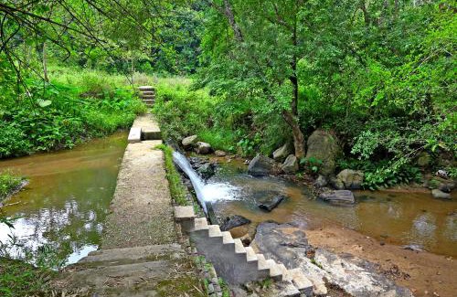 Mudigere Villa | GiriDarshini Homestay - Pool, Falls, 3BH & Estate