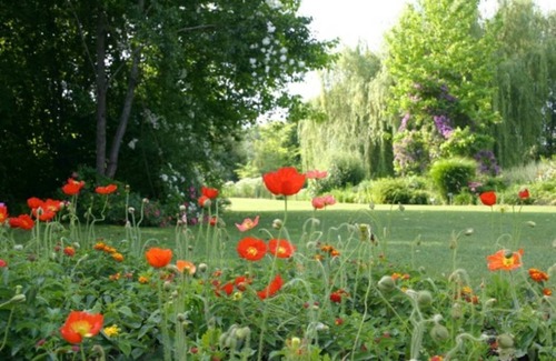 Parisot House | GITE 6 PEOPLE WITH POOL IN THE COUNTRY - ALBI-TOULOUSE AREA