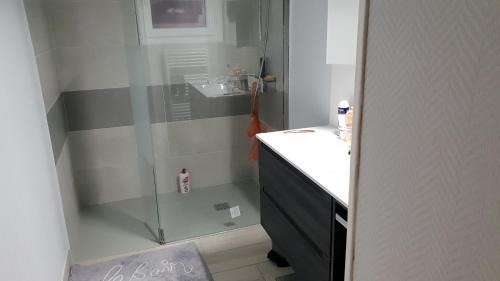 La Suze-sur-Sarthe Apartment | GITE MAISON prox le mans circuit et zoo la fleche a 18kms
