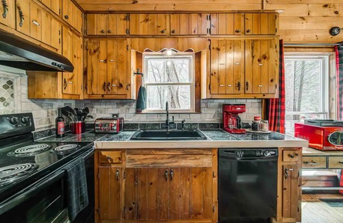 Dahlonega Cabin | Gold Mine Cabin - 3mins to Wolf Mnt Winery