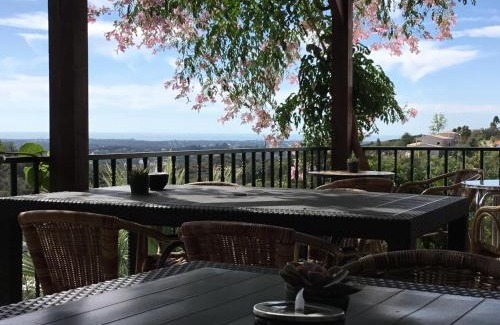 Sao Clemente House | Golda Sol