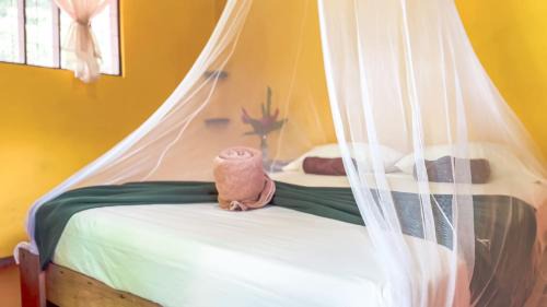 Puerto Viejo de Sarapiqui Cabin | Gran Gavilán del Sarapiquí Lodge