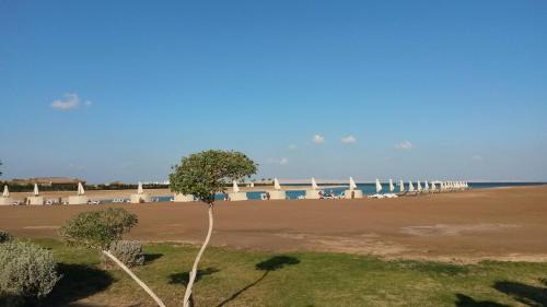 Al Mamsha El Seyahi Apartment | Gravity Hotel - Samra Bay - A luxury studio apartment just for you