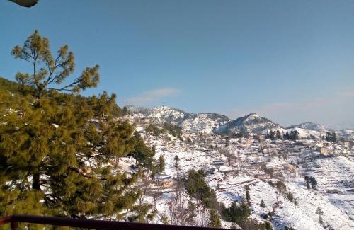 Dhirkot Apartment | Green view Guest House