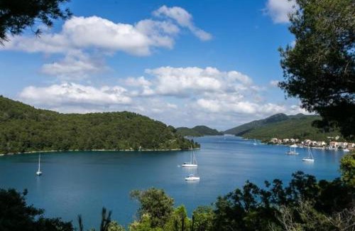Polace House | Guest House Busurelo