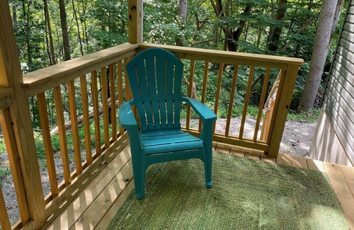 Williamson Cabin | Gunner's Goat House at Billy Goat Mountain Village