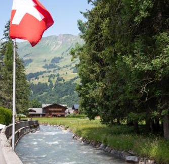 Ormont-Dessus Hotel | Hôtel Les Sources