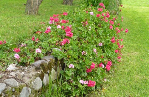 San Pablo del Lago Villa | Hacienda San Juan de La Vega, a B&B experience if you choose! Just ask!