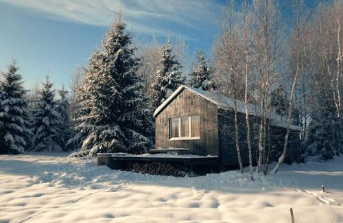 Vilnius County Ski Chalet | Hand made Off Grid forest Cabin Luna