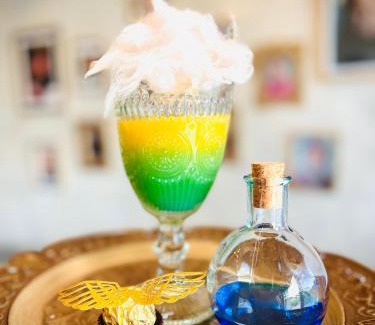 Senec House | Harry Potter Magic House