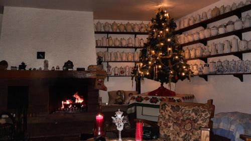 Bad Lauterberg House | Haus Brigitte