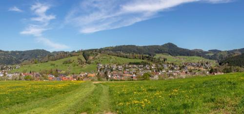 Zell am Harmersbach Apartment | Haus Irmgard
