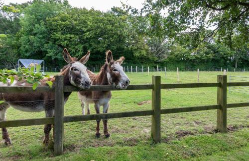 Ewhurst Green House | Hexden Lea
