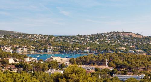 Costa de la Calma Hotel | Hilton Mallorca Galatzo